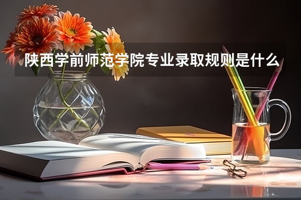 陕西学前师范学院专业录取规则是什么？