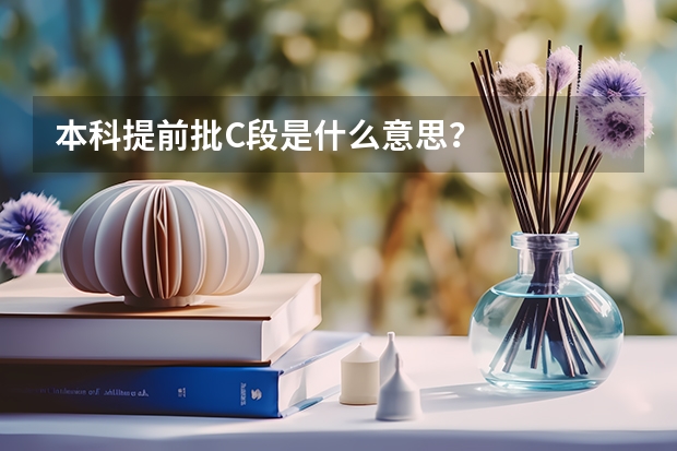 本科提前批C段是什么意思？