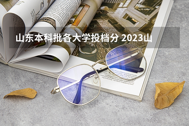 山东本科批各大学投档分 2023山东高考大学投档线