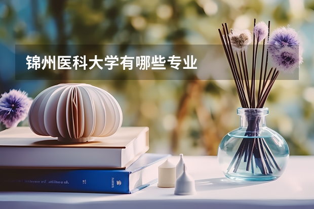 锦州医科大学有哪些专业