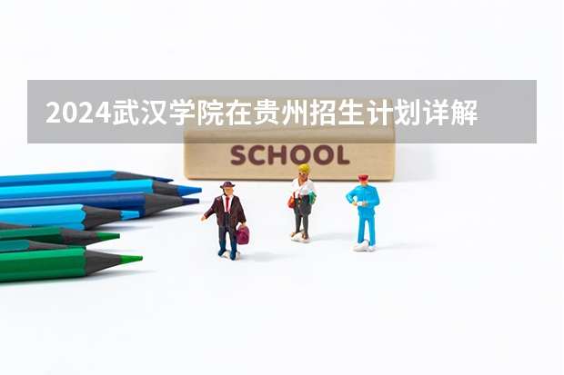 2024武汉学院在贵州招生计划详解