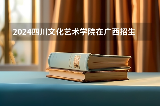 2024四川文化艺术学院在广西招生计划详解