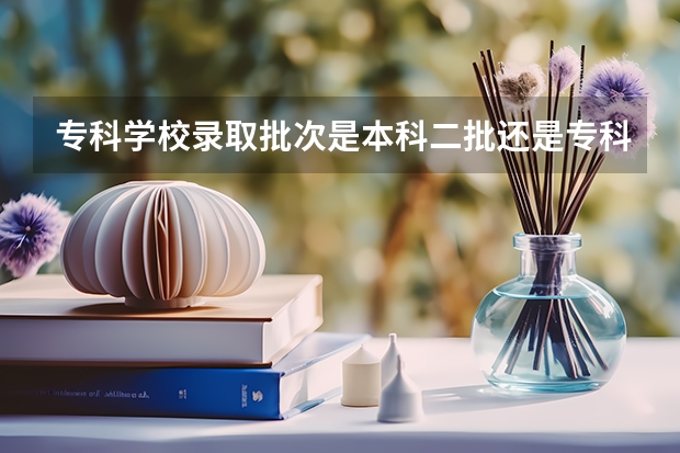 专科学校录取批次是本科二批还是专科？ 专科批志愿可以报几个学校