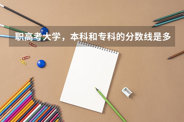 职高考大学，本科和专科的分数线是多少啊