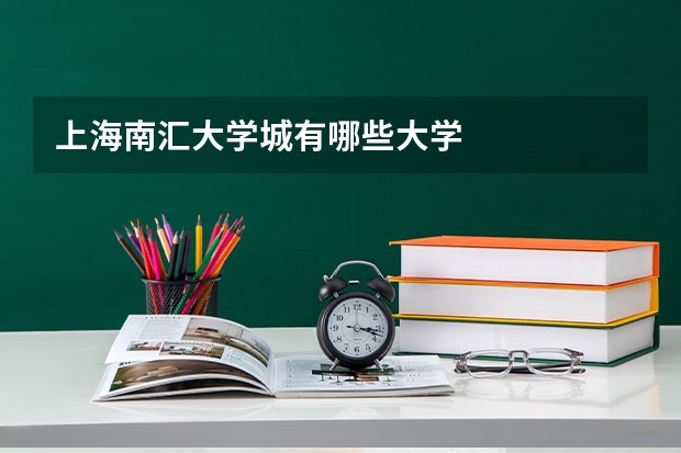 上海南汇大学城有哪些大学