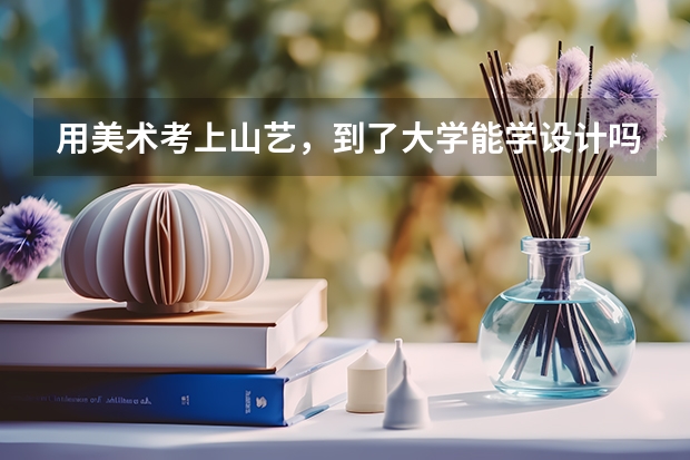 用美术考上山艺，到了大学能学设计吗？