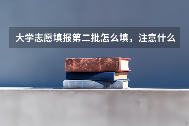 大学志愿填报第二批怎么填，注意什么