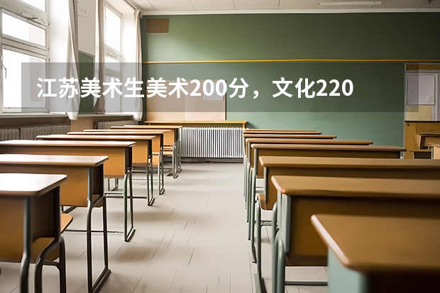 江苏美术生美术200分，文化220，能上什么学校？