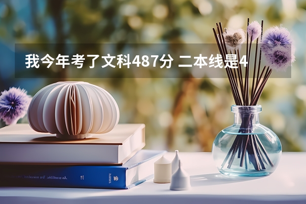 我今年考了文科487分 二本线是495 我还可能被2批本科录取吗 而且今年没有补录 但可能有降分录取