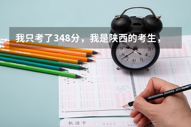 我只考了348分，我是陕西的考生，能上个什么的西安公办大学？