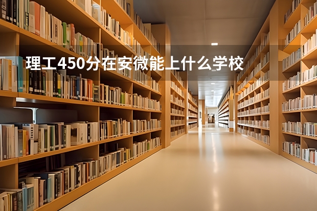 理工450分在安微能上什么学校