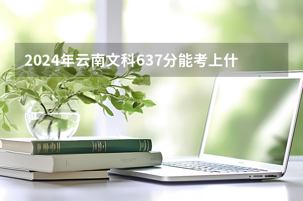 2024年云南文科637分能考上什么大学？