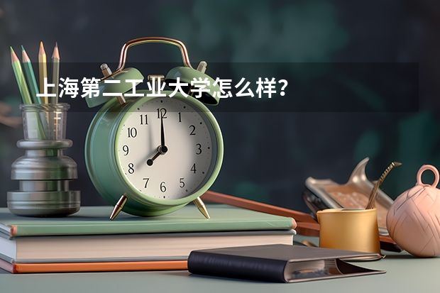 上海第二工业大学怎么样？