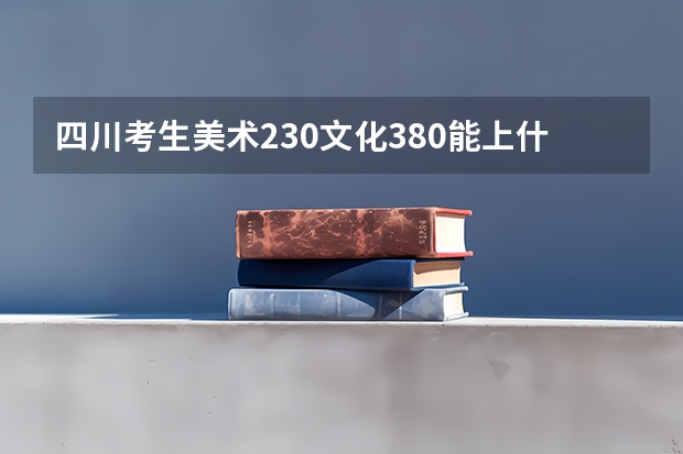 四川考生美术230文化380能上什么大学？