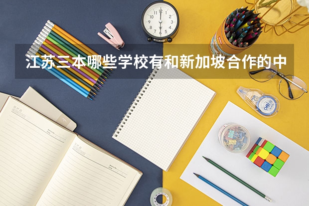 江苏三本哪些学校有和新加坡合作的中外办学班？介绍一下？