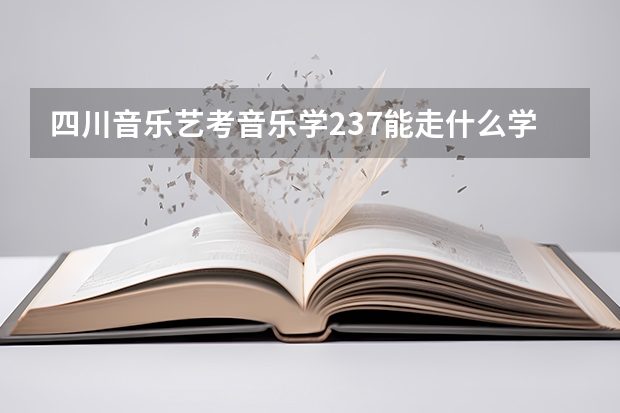 四川音乐艺考音乐学237能走什么学校？