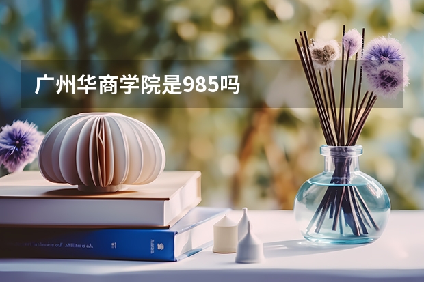 广州华商学院是985吗