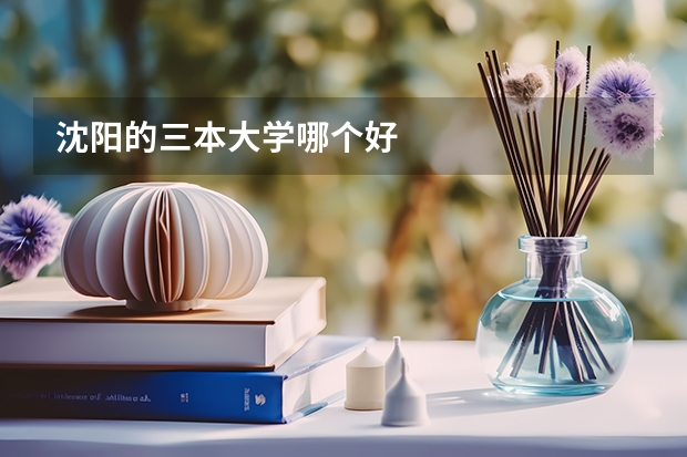 沈阳的三本大学哪个好