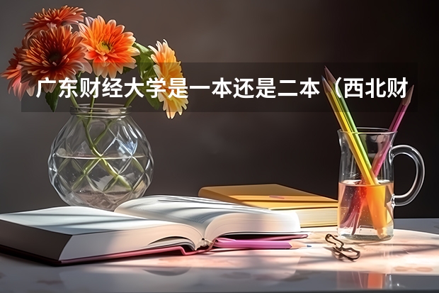 广东财经大学是一本还是二本（西北财经政法大学录取分数线）