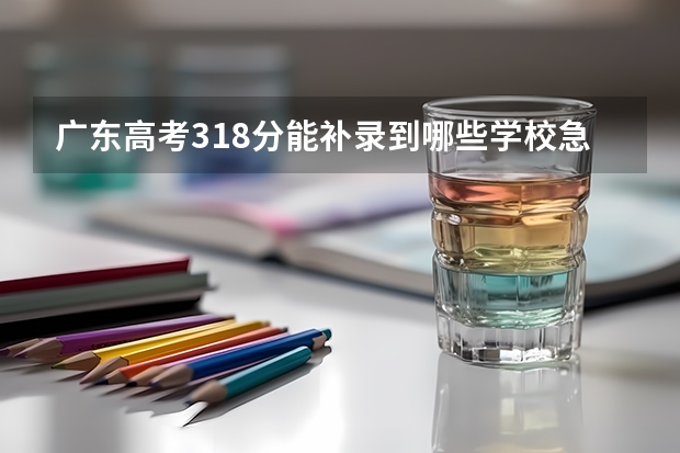 广东高考318分能补录到哪些学校.急啊,帮帮我啊