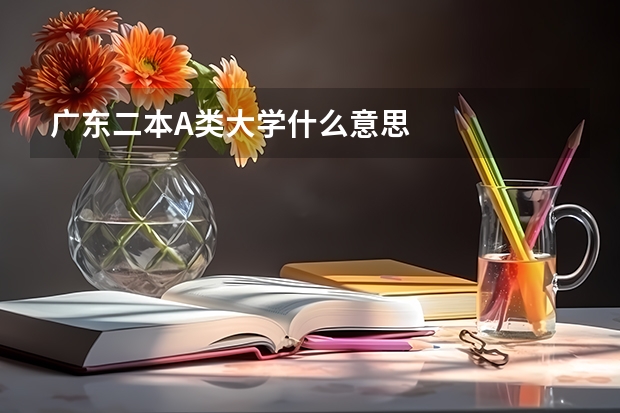 广东二本A类大学什么意思