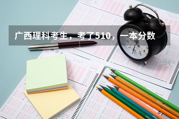 广西理科考生，考了510，一本分数线是506，想读会计专业，不知应如何选取哪所高校呢？