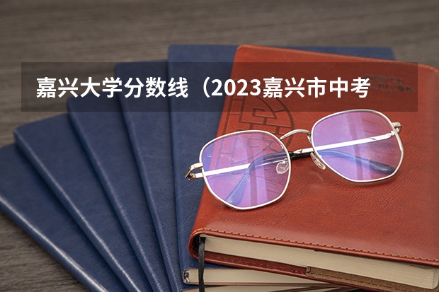 嘉兴大学分数线（2023嘉兴市中考分数线）