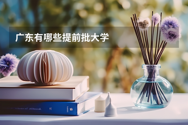 广东有哪些提前批大学