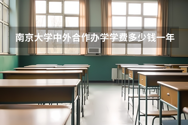 南京大学中外合作办学学费多少钱一年？