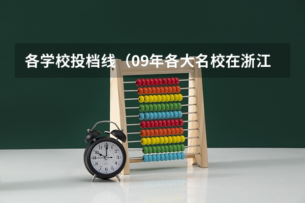 各学校投档线（09年各大名校在浙江的高考录取分数线）