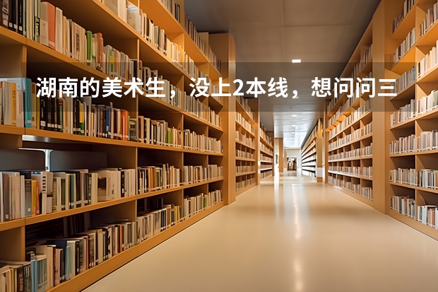 湖南的美术生，没上2本线，想问问三本跟专科是怎么回事啊？