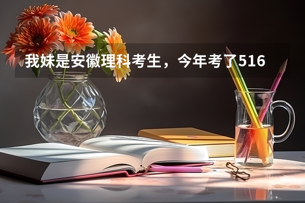 我妹是安徽理科考生，今年考了516分，高出二本线5分，能报考省内什么学校