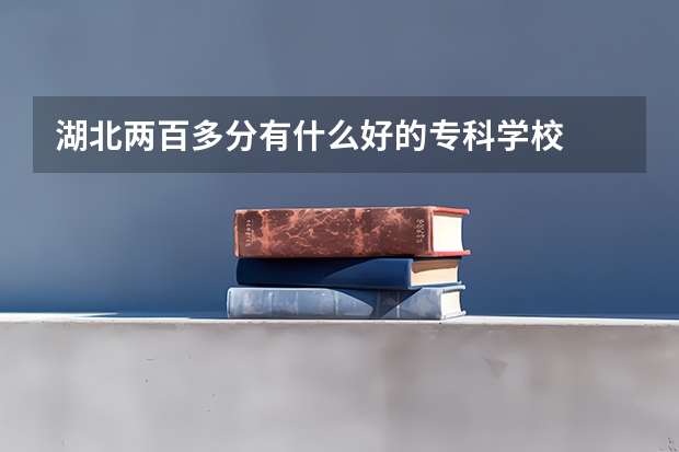 湖北两百多分有什么好的专科学校