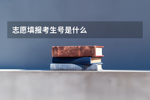 志愿填报考生号是什么