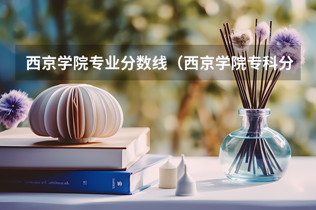 西京学院专业分数线（西京学院专科分数线）