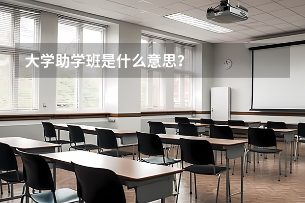 大学助学班是什么意思？