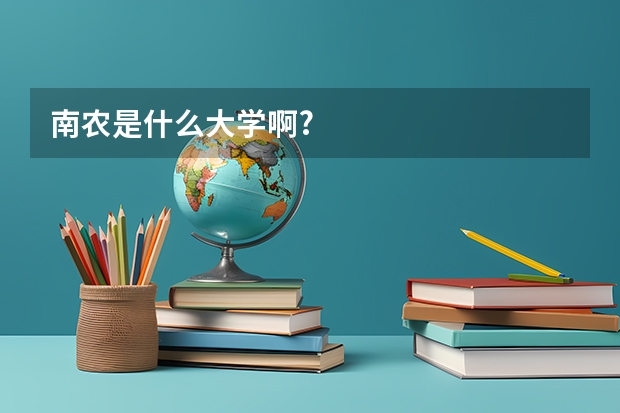 南农是什么大学啊?