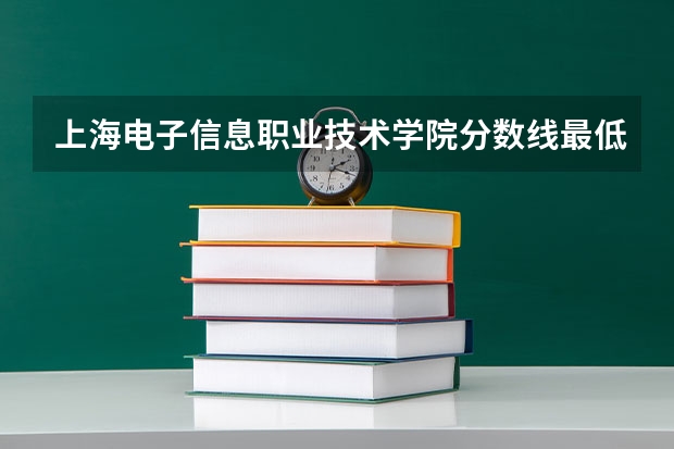 上海电子信息职业技术学院分数线最低是多少