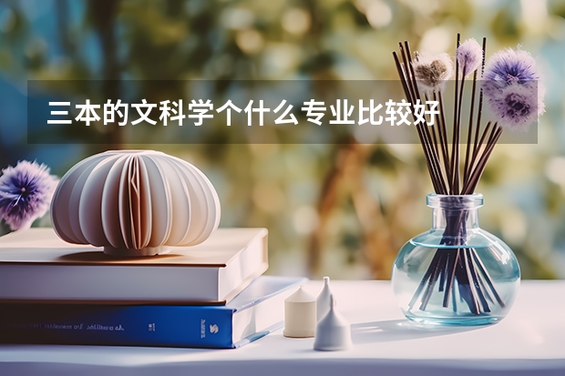 三本的文科学个什么专业比较好