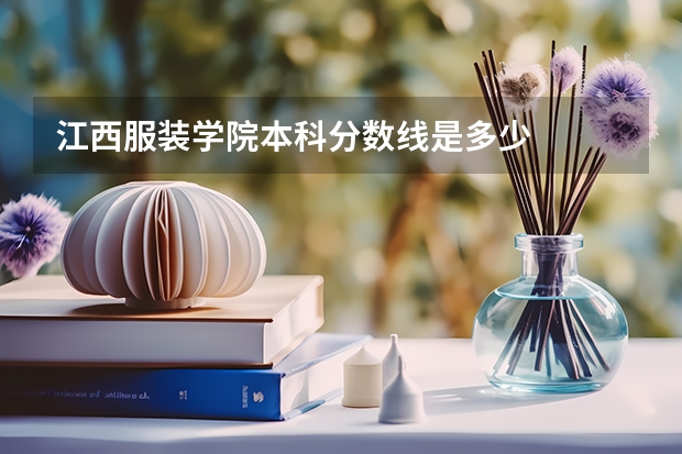 江西服装学院本科分数线是多少