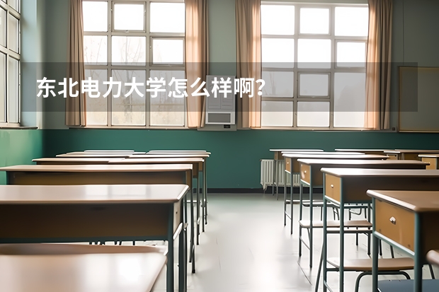 东北电力大学怎么样啊？