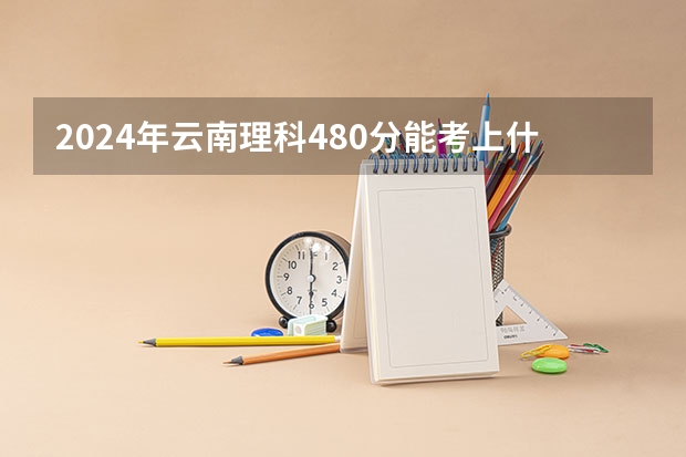 2024年云南理科480分能考上什么大学？