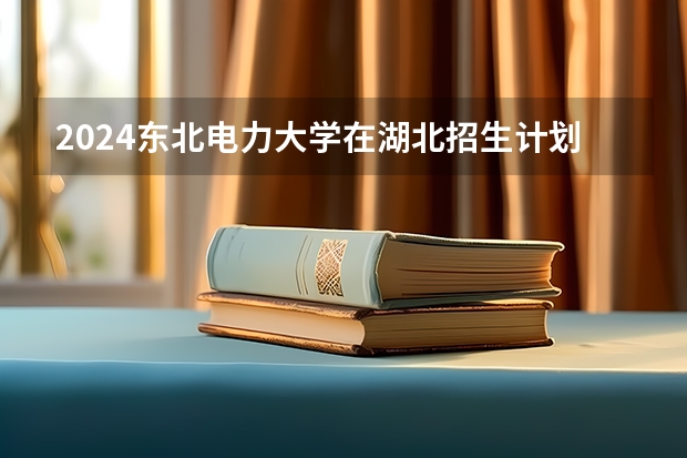 2024东北电力大学在湖北招生计划详解