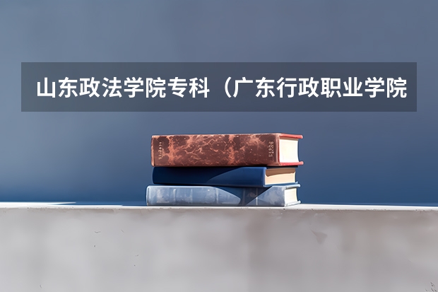 山东政法学院专科（广东行政职业学院最低分数线）