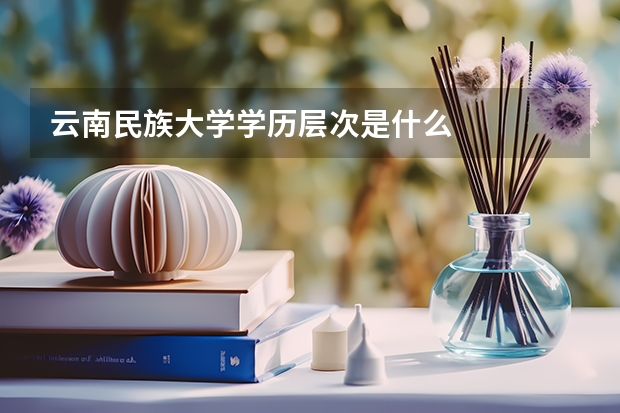 云南民族大学学历层次是什么