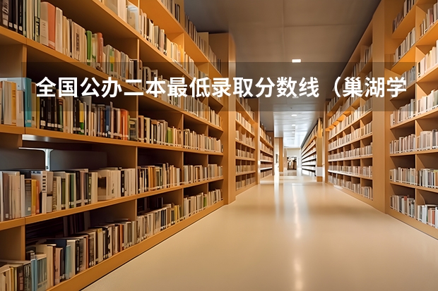 全国公办二本最低录取分数线（巢湖学院录取名单安徽省二本）