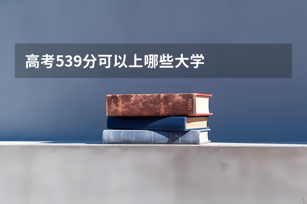 高考539分可以上哪些大学