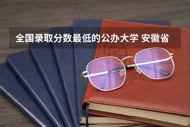 全国录取分数最低的公办大学 安徽省内的学校美术类招生分一本二本三本么？哪位知道的回答下！谢啦！