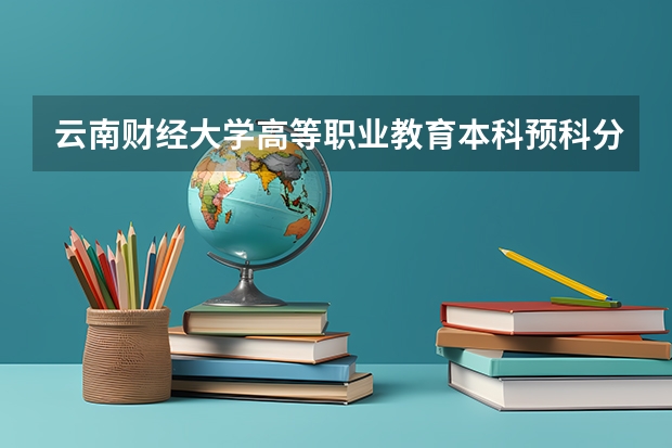 云南财经大学高等职业教育本科预科分数线是多少？