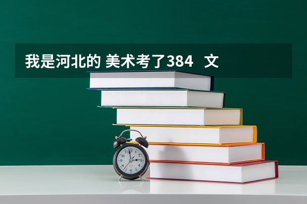 我是河北的 美术考了384   文化214    能上什么学校？